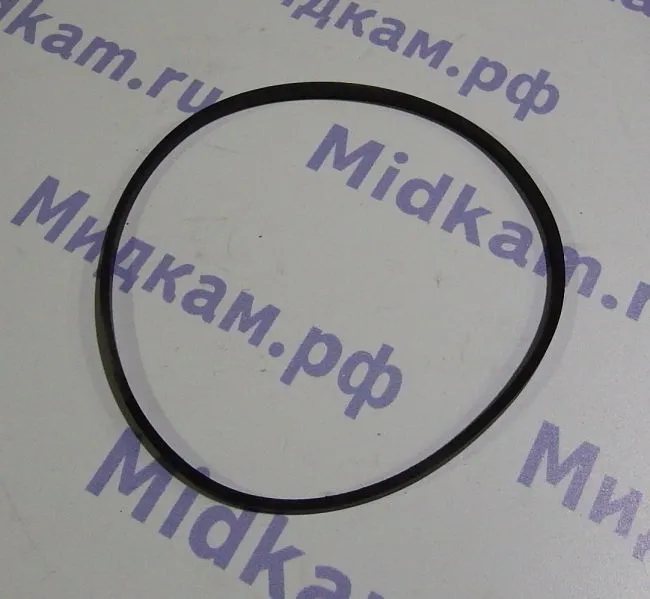 Кольцо уплотнительное ФГОМ