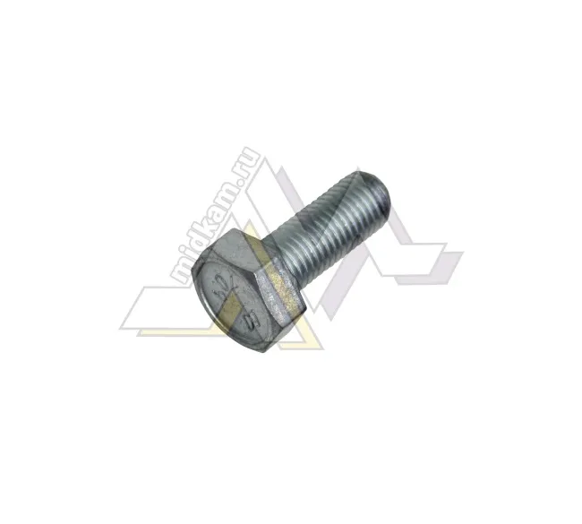 Болт  М10x 25 х 1,25 / г.Белебей