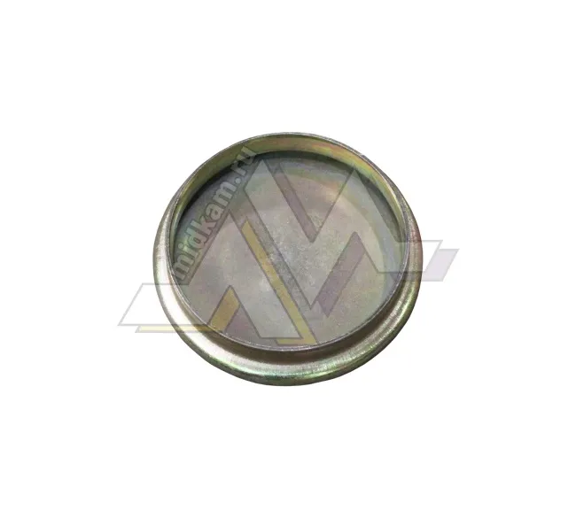 Щиток пылезащитный шкворня HD90009410876 / Shaanxi Hande Axle Co., Ltd